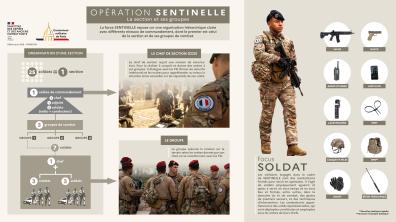 Focus SENTINELLE - La section et ses groupes